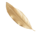luchiana-2359558945
